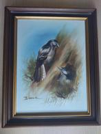 Vintage schilderij van vogels - Bruce, Ophalen of Verzenden