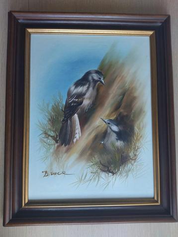 Vintage schilderij van vogels - Bruce beschikbaar voor biedingen