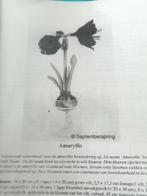 Vilt patroon Amaryllis, September spring, Ophalen of Verzenden, Zo goed als nieuw, Boek of Patroon