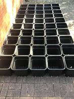 Kweekpotten. 14 ltr. Gebruikt.   50 potten, Tuin en Terras, Ophalen, Kunststof, Gebruikt, Vierkant