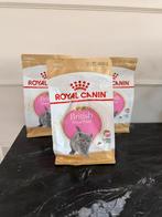 Royal canin britse korthaar kittens, Dieren en Toebehoren, Ophalen of Verzenden, Kat
