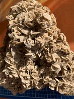 Zeer grote Zand-Roos uit Saudi-Arabië., Antiek en Kunst, Ophalen of Verzenden