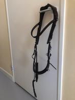 Hoofdstel PresTeq Fay extra full, Dieren en Toebehoren, Paarden en Pony's | Hoofdstellen en Tuigage, Ophalen, Gebruikt, Dressuur