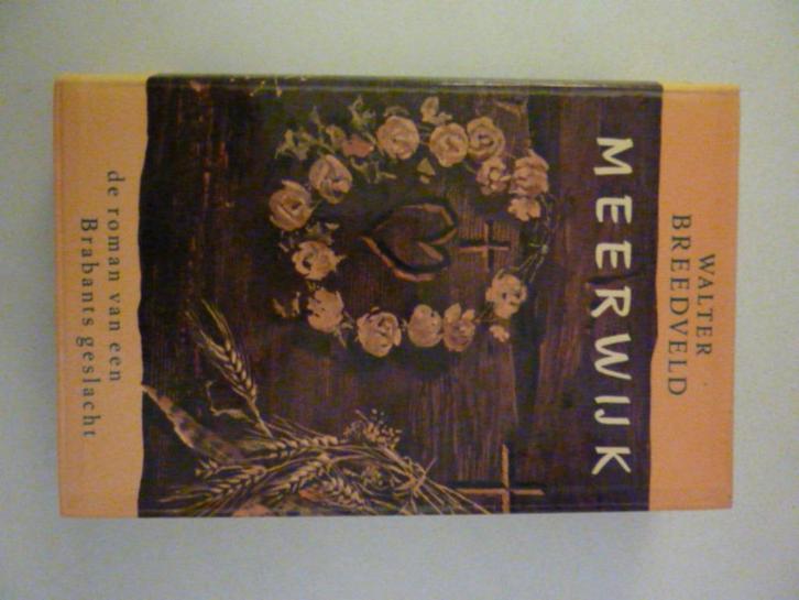 Walter Breedveld - Meerwijk, Boeken, Overige Boeken, Zo goed als nieuw, Verzenden