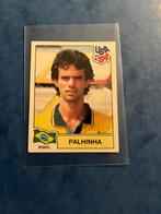 Panini stickers Mint WK USA 1994 speler Brazilië, Ophalen of Verzenden, Nieuw, Buitenlandse clubs, Poster, Plaatje of Sticker