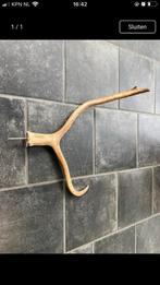 Gewei voor aan de muur - nieuw, Ophalen of Verzenden, Nieuw