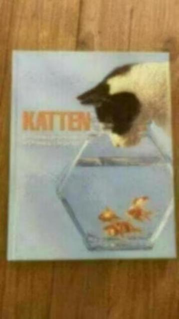 Katten . Don Harper beschikbaar voor biedingen