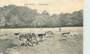 (301-094-017) Den Haag Hertenkamp beschikbaar voor biedingen