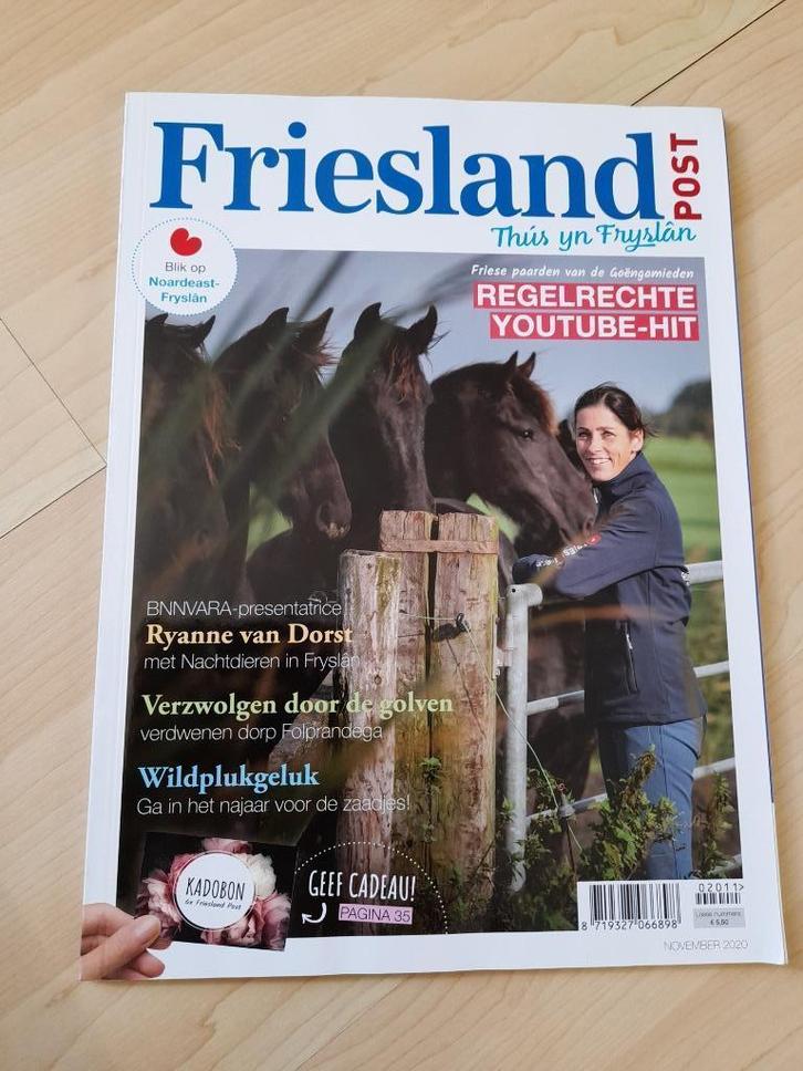 TIJDSCHRIFT FRIESLAND POST 2011, 2013; 2014, 2015; 2019 2021, Boeken, Tijdschriften en Kranten, Zo goed als nieuw, Ophalen of Verzenden