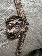 Panter tijger bomberjack nieuw, Maat 38/40 (M), Bruin, Nieuw, Ophalen of Verzenden