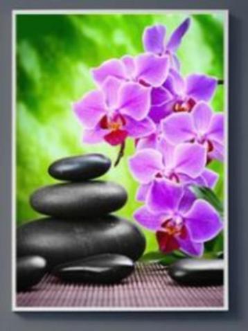 Diamond Painting: Zen stenen orchidee nr.1 [Box D - HS-002] beschikbaar voor biedingen