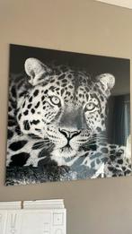 Cheetah schilderij plexi-glas als nieuw, Ophalen, Zo goed als nieuw, Schilderij, 75 tot 100 cm