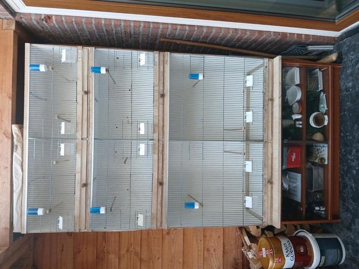 Broedkooi kweekkooi vogelkooi kanarie putter wildzang, Dieren en Toebehoren, Vogels | Hokken en Kooien, Zo goed als nieuw, Broedkooi of Kweekkooi