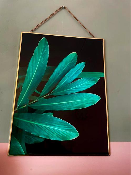 Mooie gouden lijst met foto palm met glazen plaat, Huis en Inrichting, Woonaccessoires | Wanddecoraties, Zo goed als nieuw, Ophalen of Verzenden