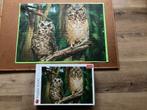 Heel mooie uilen puzzel, Hobby en Vrije tijd, Denksport en Puzzels, Ophalen, 500 t/m 1500 stukjes, Zo goed als nieuw, Legpuzzel