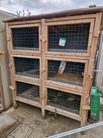 Groot konijnen hok, Dieren en Toebehoren, Knaagdieren en Konijnen | Hokken en Kooien, Ophalen, 90 cm of meer, Konijn, Hok