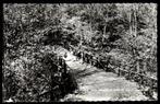 Oude ansicht - Gronsveld, Bruggetje over de Sichelder Grub -, Verzamelen, Ansichtkaarten | Nederland, Ophalen of Verzenden, 1960 tot 1980