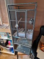 Metalen vogelkooi met boog, Ophalen, Gebruikt, -, -