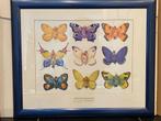 Anne Geddes schilderij / poster vlinders, Gebruikt, Ophalen of Verzenden, Schilderij, Minder dan 50 cm