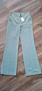 Nieuw anna van toor rib pantalon/broek maat 36, Kleding | Dames, Broeken en Pantalons, Ophalen, Blauw, Nieuw, Maat 36 (S)