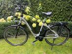 Flyer T8 met zeer lichte gebruikssporen en maar 3000km, Fietsen en Brommers, Zo goed als nieuw, 47 tot 51 cm, 50 km per accu of meer