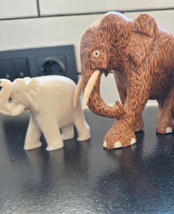 Olifant beschikbaar voor biedingen