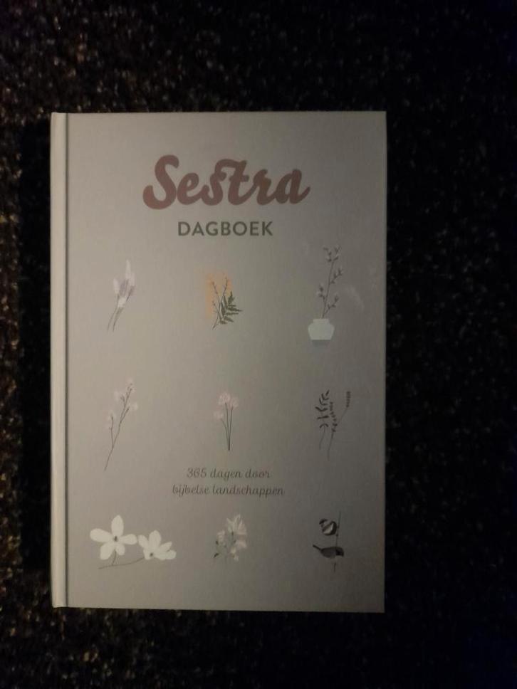 Sestra Bijbels Dagboek, Boeken, Godsdienst en Theologie, Zo goed als nieuw, Christendom | Katholiek, Christendom | Protestants