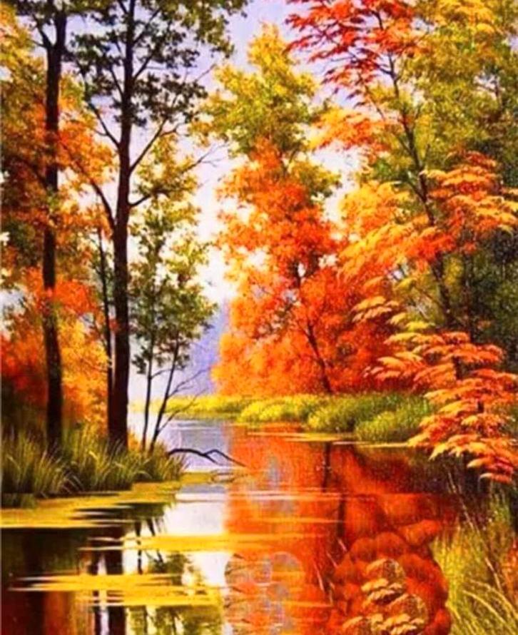 DP Bos V.S. Size:30x20cm 30 Kleuren, Hobby en Vrije tijd, Knutselen, Nieuw, Ophalen of Verzenden