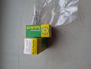 E koop .Halogeen Autolicht steek lampjes beschikbaar voor biedingen