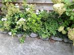 Stenen sier, Tuin en Terras, Grind, Keien en Split, Ophalen, Gebruikt, Grijs, Kei