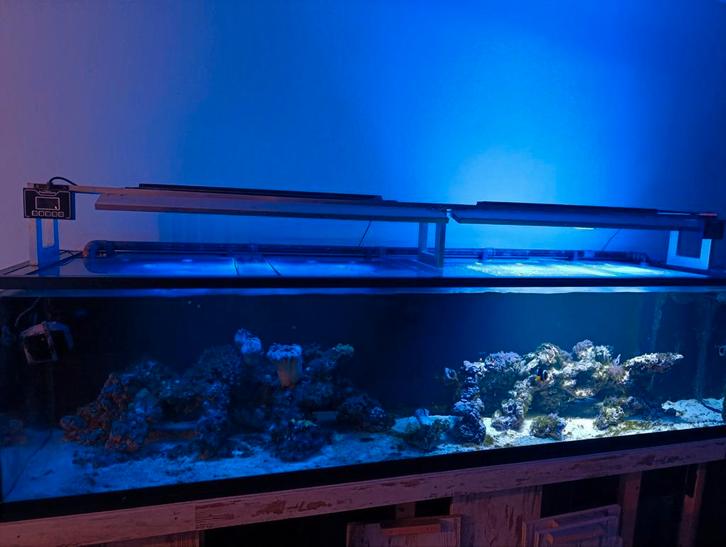 Zeeaquarium 250cm groot, Dieren en Toebehoren, Vissen | Aquaria en Toebehoren, Zo goed als nieuw, Leeg aquarium, Ophalen of Verzenden