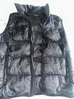 Dsquared 2 Bodywarmer mt 176, Dsquared2, Ophalen of Verzenden, Zo goed als nieuw, Jongen