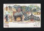 Barnum and Bailey Circus Olifanten Heerjansdam 1905., Verzamelen, Ansichtkaarten | Dieren, Ophalen of Verzenden, Voor 1920, Gelopen