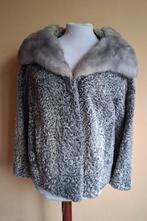 Astrakan Persianer Bontjas met Nertskraag Silverman USA 1950, Maat 38/40 (M), Ophalen of Verzenden, Zo goed als nieuw, Silverman USA