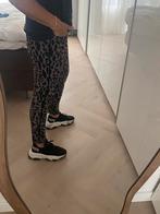 St. Anneloes broek, Kleding | Dames, Ophalen of Verzenden, Zo goed als nieuw, Maat 34 (XS) of kleiner, Lang