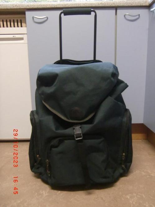 Delsey trolley/rugzak, groot model, Sieraden, Tassen en Uiterlijk, Koffers, Zo goed als nieuw, Zacht kunststof, 50 tot 60 cm, 35 tot 45 cm
