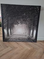 Zwart-wit schilderij parklandschap 100x100cm, Ophalen of Verzenden, Zo goed als nieuw, Schilderij, 75 tot 100 cm