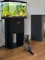 Aquarium 60L, Dieren en Toebehoren, Vissen | Aquaria en Toebehoren, Ophalen, Gebruikt, Leeg aquarium