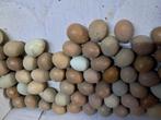 Broedeieren van chinese kwartels, Dieren en Toebehoren, Geslacht onbekend, Overige soorten