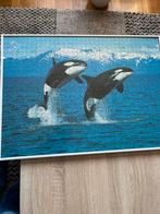 Te koop puzzel Orka’s, Ophalen of Verzenden