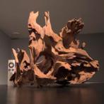 Uniek stuk Kienhout / Driftwood / Spiderwood, Hout Decoratie, Ophalen of Verzenden, Zo goed als nieuw, Plant(en), Steen of Hout