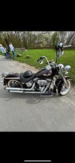 Harly davidson, Motoren, 2 cilinders, Particulier, ABS, Chopper