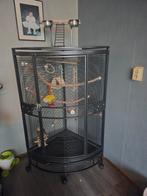 Keddoc hoekkooi, Dieren en Toebehoren