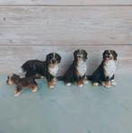 Schleich verschillende honden te koop., Verzamelen, Dierenverzamelingen, Ophalen of Verzenden, Zo goed als nieuw, Hond of Kat