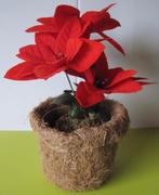 kunst kerst ster - kerstster, Ophalen of Verzenden, Zo goed als nieuw