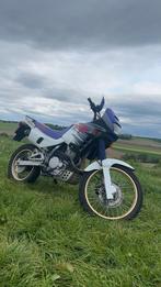 Honda Dominator 650, Particulier
