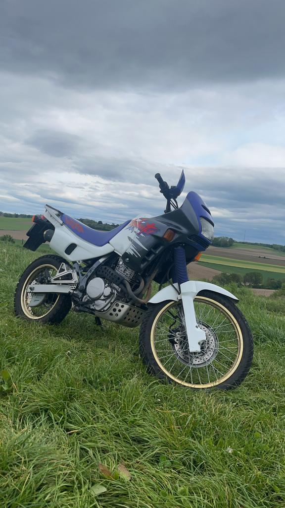 Honda Dominator 650, Motoren, Motoren | Honda, Particulier, Ophalen