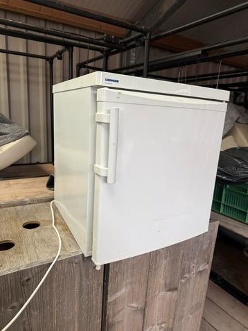 Gebruikte Tafelmodel Koelkast beschikbaar voor biedingen