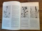 Gids voor de kruidentuin, Boeken, Ophalen of Verzenden, Interieur en Design