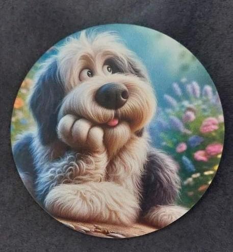 Honden oppas, Dieren en Toebehoren, Honden-accessoires, Nieuw, Ophalen of Verzenden